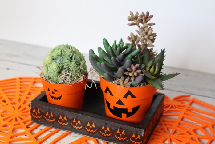 7 Spooky Halloween Decor Ideas including pumpkin planters, a Dias de los Muertos skull, a black cat lighted frame and more! 