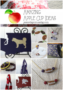 Amazing Apple Cup Ideas: Fun ways to show your team spirit for the annual UW Huskies versus WSU Cougar college match up!
