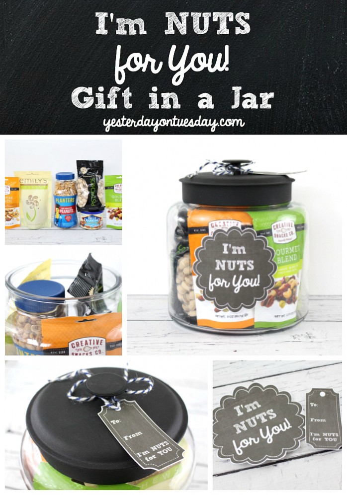 I'm Nuts for You Gift in a Jar: A fun and budget friendly present for your husband, dad, mom, teen boy or girl gift, anyone for a birthday or thank you!