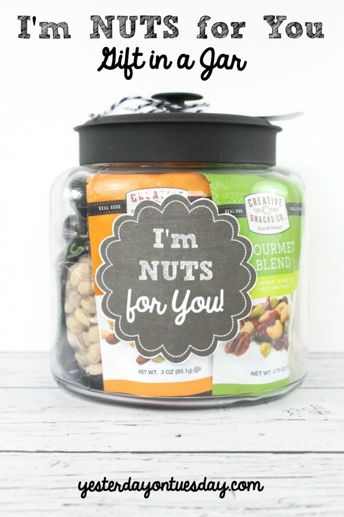 I'm Nuts for You Gift in a Jar: A fun and budget friendly present for your husband, dad, mom, teen boy or girl gift, anyone for a birthday or thank you!