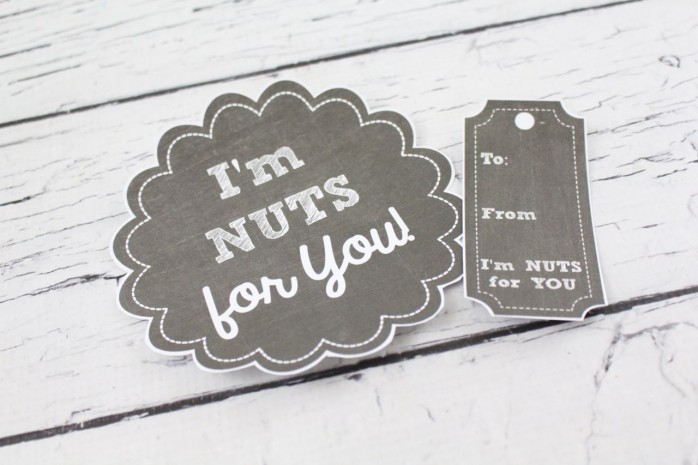 I'm Nuts for You Gift in a Jar: A fun and budget friendly present for your husband, dad, mom, teen boy or girl gift, anyone for a birthday or thank you!I'm Nuts for You Gift in a Jar: A fun and budget friendly present for your husband, dad, mom, teen boy or girl gift, anyone for a birthday or thank you!