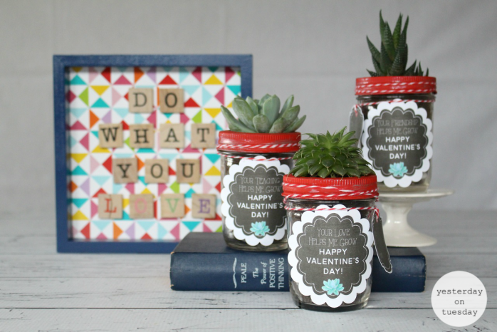 Valentine's Day Succulent Gift Labels and Tags: Cute chalkboard labels and tags for friends, teachers and loved ones. Just add succulents and mason jar!