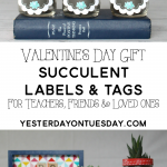 Valentine's Day Succulent Gift Labels and Tags: Cute chalkboard labels and tags for friends, teachers and loved ones. Just add succulents and mason jar!