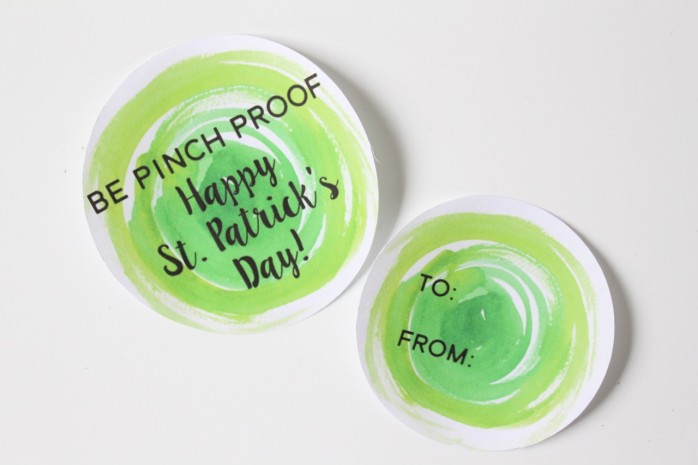 Green Themed Mason Jar Gift: Fun and cheap St. Patrick's Day gift idea using stuff from the grocery store and free printable labels