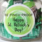 Green Themed Mason Jar Gift: Fun and cheap St. Patrick's Day gift idea using stuff from the grocery store and free printable labels