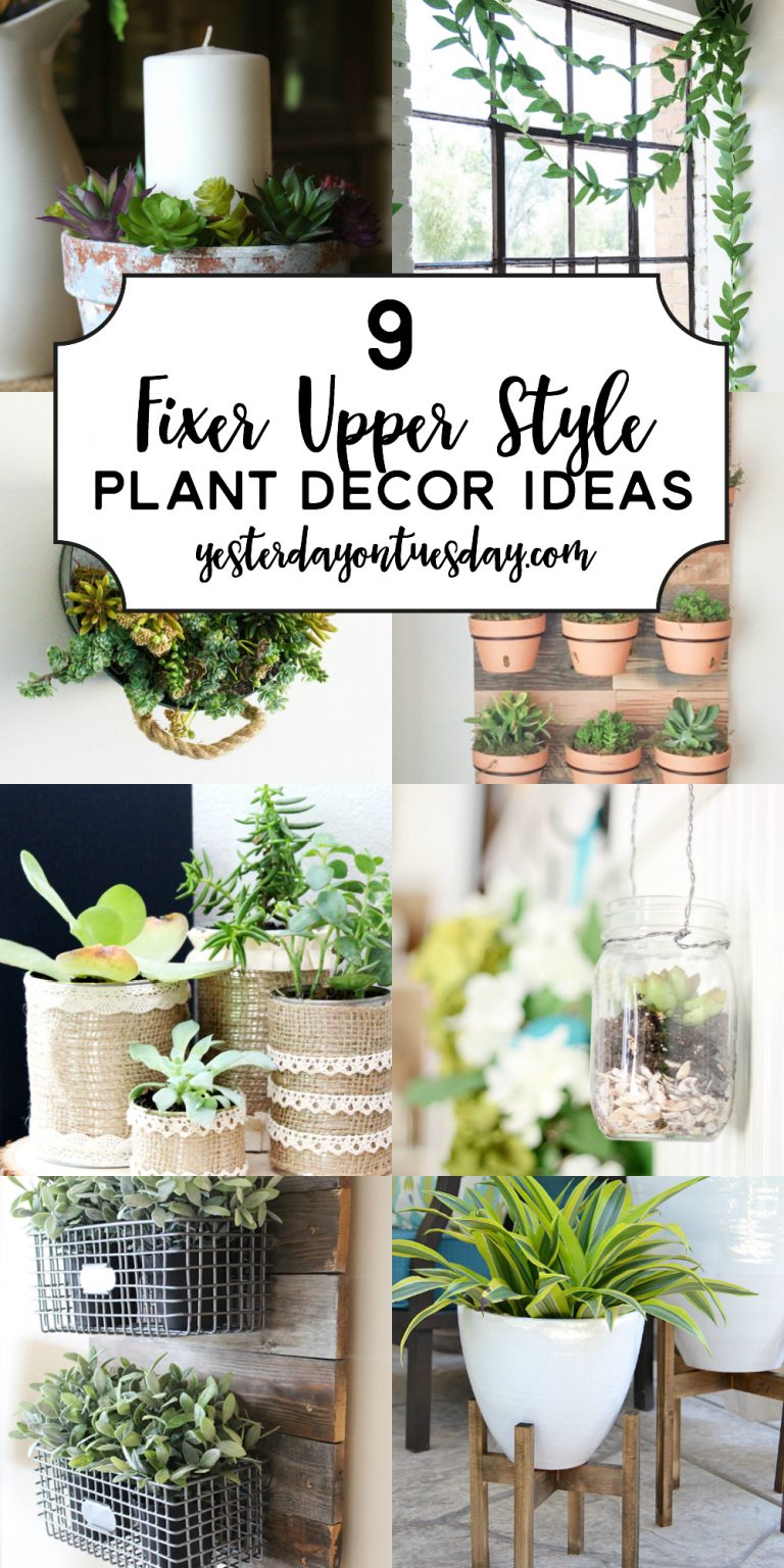 Modern Farmhouse Plant Decor Ideas