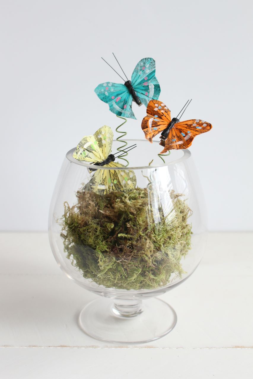 Butterflies in a Jar Terrarium 
