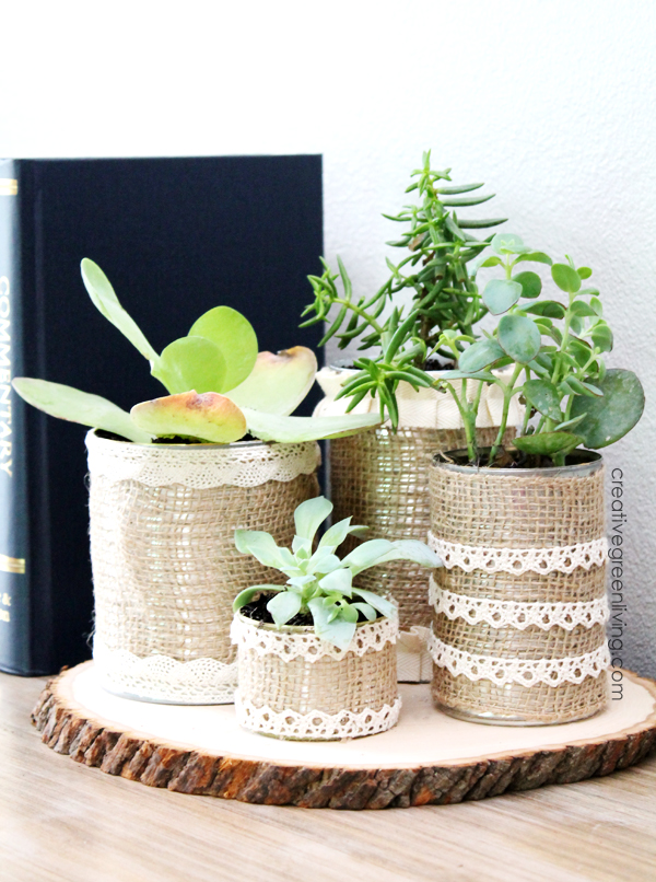 DIY Succulent Planters