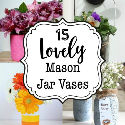 Fifteen Mason Jar Vases