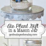 Air Plant Gift in a Mason Jar with printable tags for for any occasion including gift giving, Get Well Soon, Thinking of You, Thank You and more!