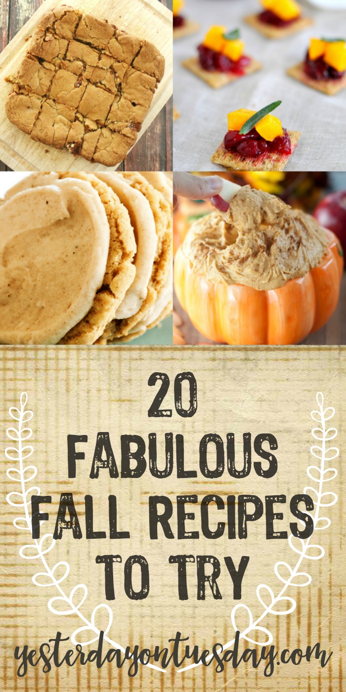 Delicious Must Try Fall Recipes