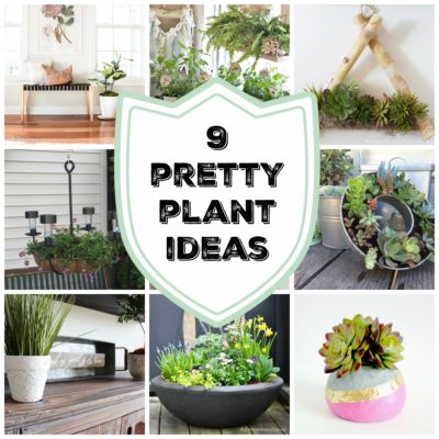 9 Pretty Plant Ideas