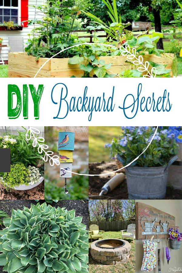 7 Simple DIY Backyard Secrets 