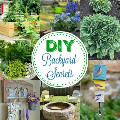 7 Simple DIY Backyard Secrets