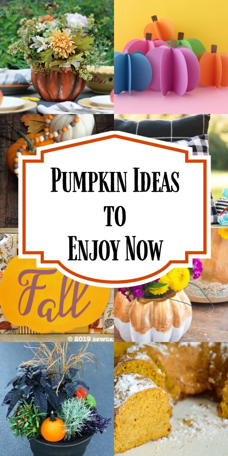 9 Pumpkin Ideas to Enjoy Now